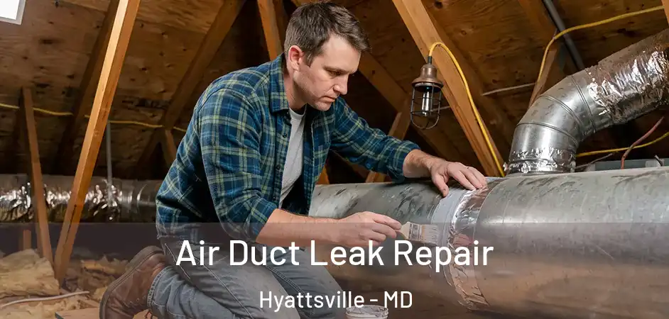 Air Duct Leak Repair Hyattsville - MD
