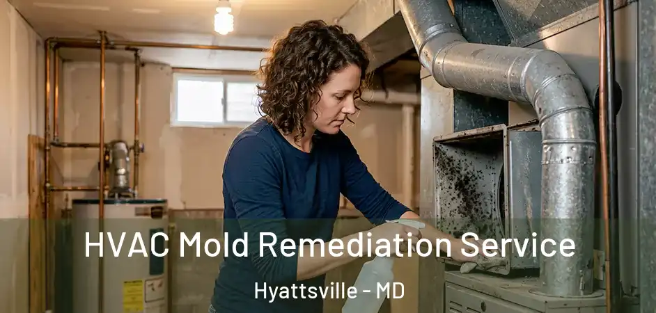  HVAC Mold Remediation Service Hyattsville - MD