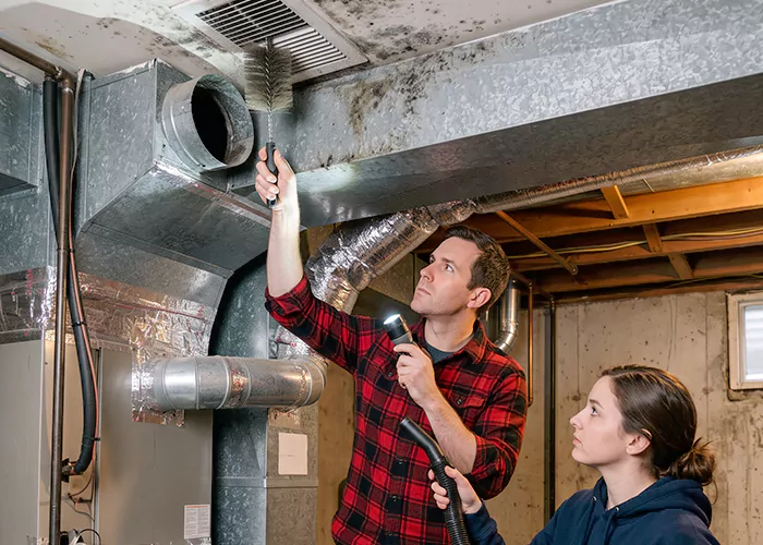 Premier HVAC Mold Remediation Company in Hyattsville