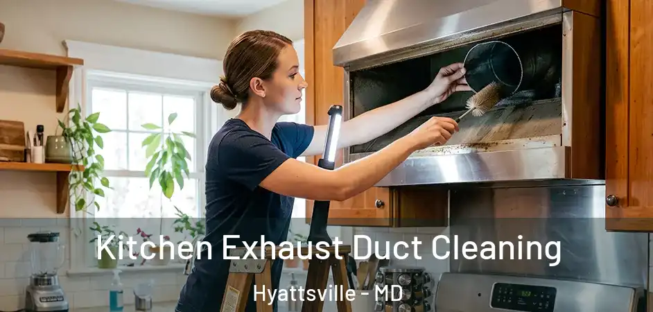 Kitchen Exhaust Duct Cleaning Hyattsville - MD